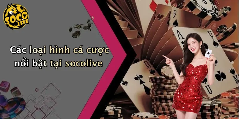 Socolive