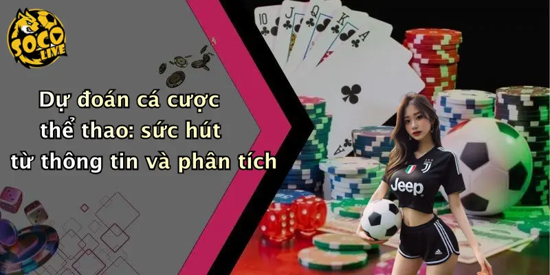 Dự đoán cá cược thể thao: sức hút từ thông tin và phân tích