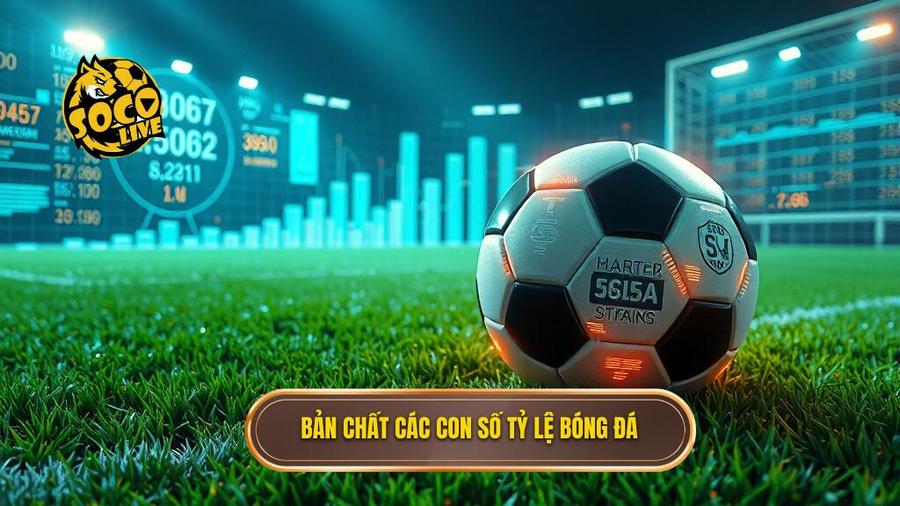 Bản chất của tỷ lệ bóng đá: Những con số biết nói