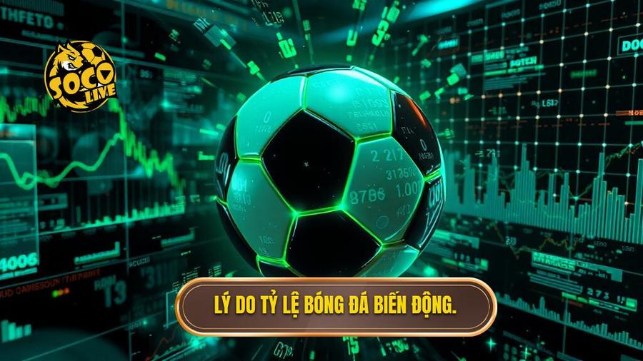 Phân tích đa chiều: Tại sao tỷ lệ bóng đá lại trở nên "dị"?