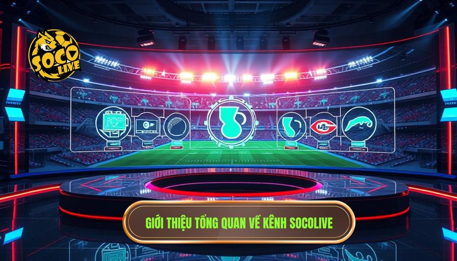 Tổng quan về Socolive - Họ là ai?